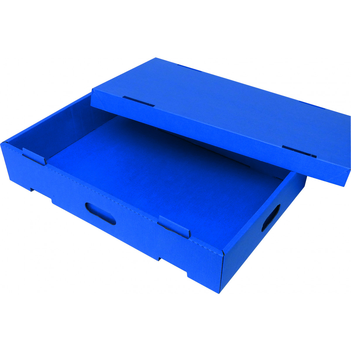 ESD Safeshield shipping boxes